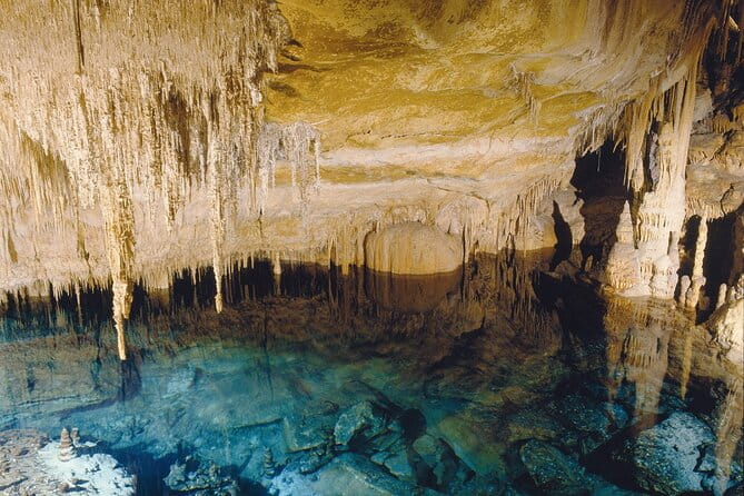 Caves Drach Tour & Return Transfer from Cala Dor-Calas Mallorca - Who Should Book This Tour?