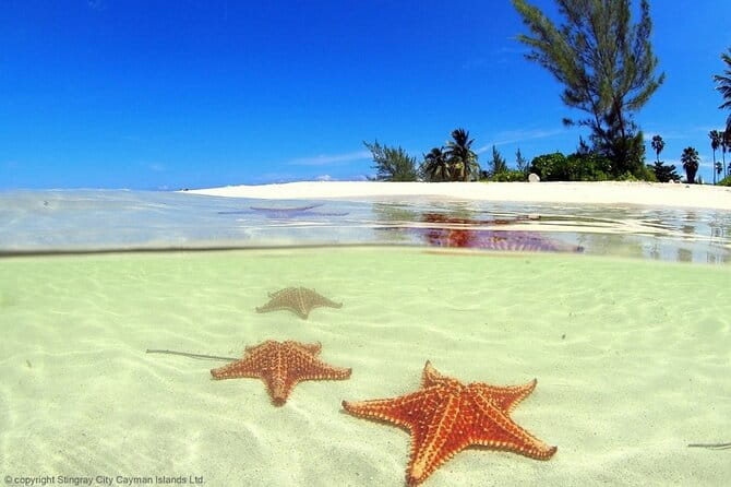 Cayman Adventure: Starfish Point, Stingray City and Coral Gardens - Snorkeling Adventure