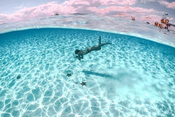 Cayman Adventure: Starfish Point, Stingray City and Coral Gardens - Coral Gardens Discoveries