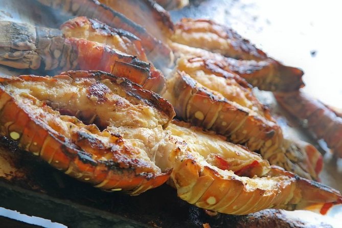 Cayo Arena Catamaran Cruise From Puerto Plata With Lunch - Transportation and Additional Services