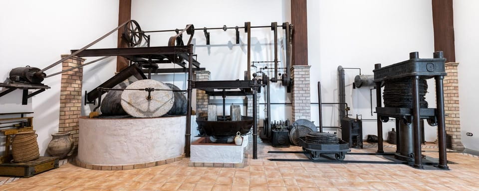 Cazorla: Oleotour - Olive Oil Culture Initiation - Key Points