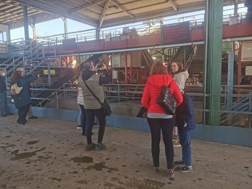 Cazorla: Oleotour - Olive Oil Culture Initiation - Unique Experience Highlights