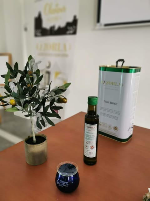 Cazorla: Oleotour - Olive Oil Culture Initiation - Detailed Tour Itinerary