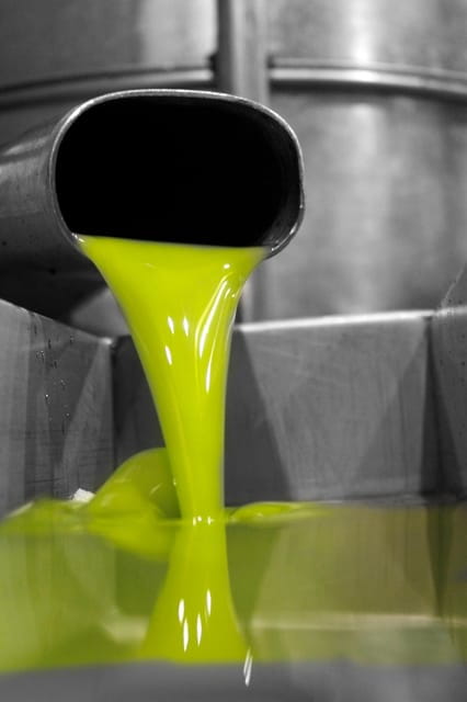 Cazorla: Oleotour - Olive Oil Culture Initiation - Visitor Information and Suitability