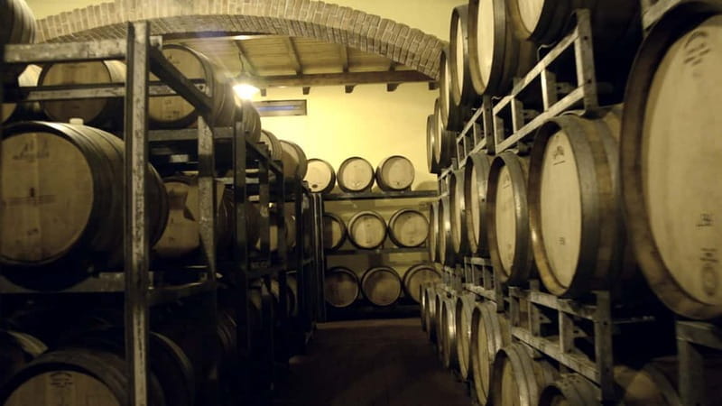 Cefalù: Half-Day Wine Tasting Tour in Castelbuono - Frequently Asked Questions