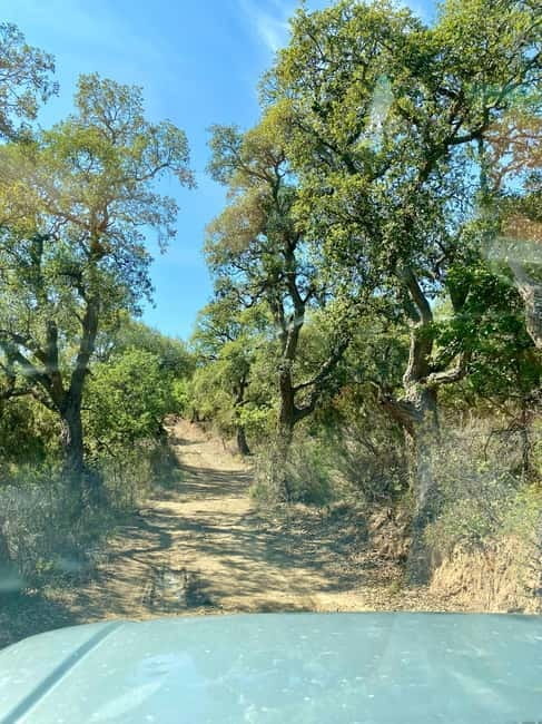 Cefalù: Madonie Park Jeep Adventure - FAQ