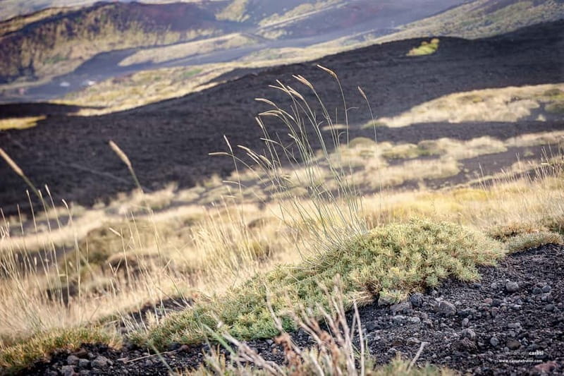 Cefalù: Mount Etna to 1900-Meters and Taormina Tour - An Honest Look at the Cefalù: Mount Etna to 1900 Meters and Taormina Tour