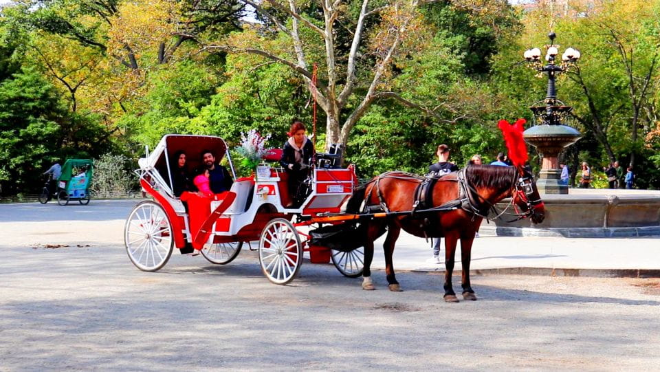 Central Park: Short Horse Carriage Ride (Up to 4 Adults) - Meeting Point Information