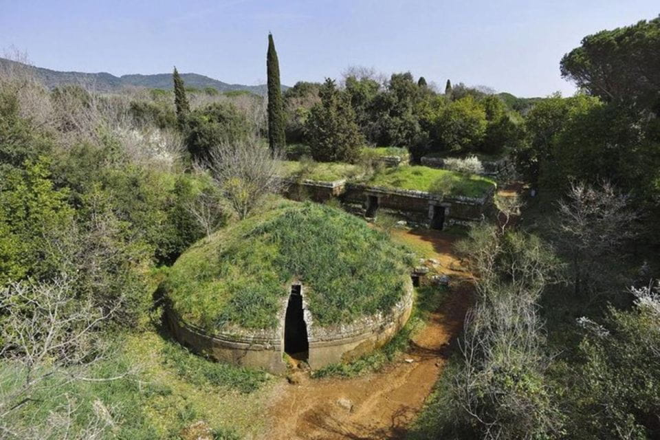 Cerveteri & Tarquinia Private Tour From Rome - Key Points