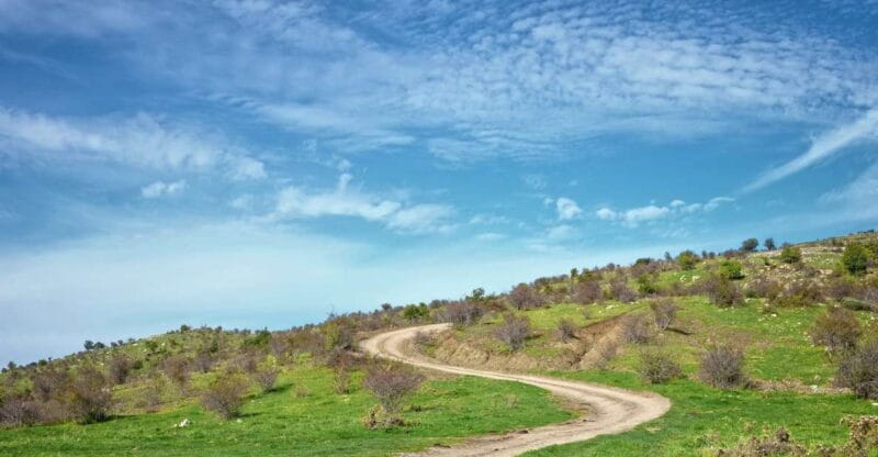 Cesarò: Full Day Tour of Nebrodi Park in a 4x4 - The Practical Side: Logistics and Customer Feedback