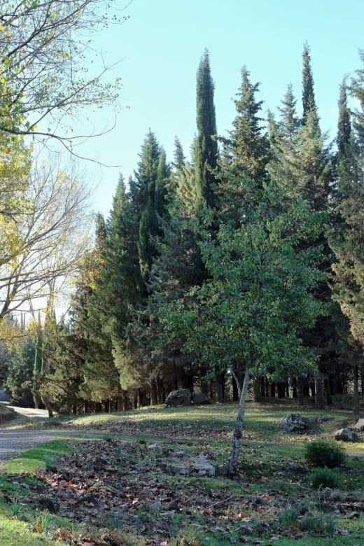 Cesarò: Full Day Tour of Nebrodi Park in a 4x4 - Who Should Consider This Tour?