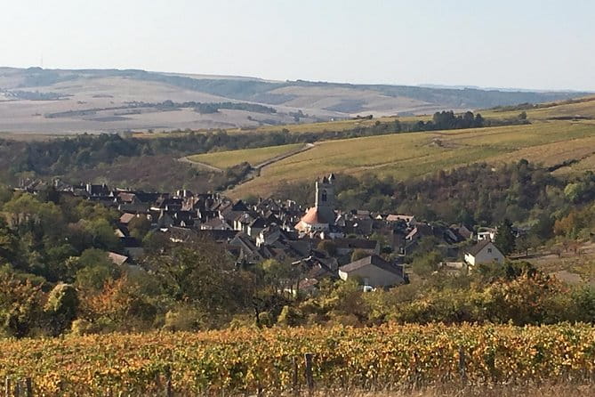 Chablis & Northern Burgundy Wine Tour - Possible Considerations