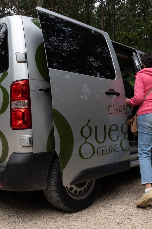 Chablis: Visit of the Grand Cru vineyard - Exploring the Chablis Grand Cru Vineyards: A Detailed Review