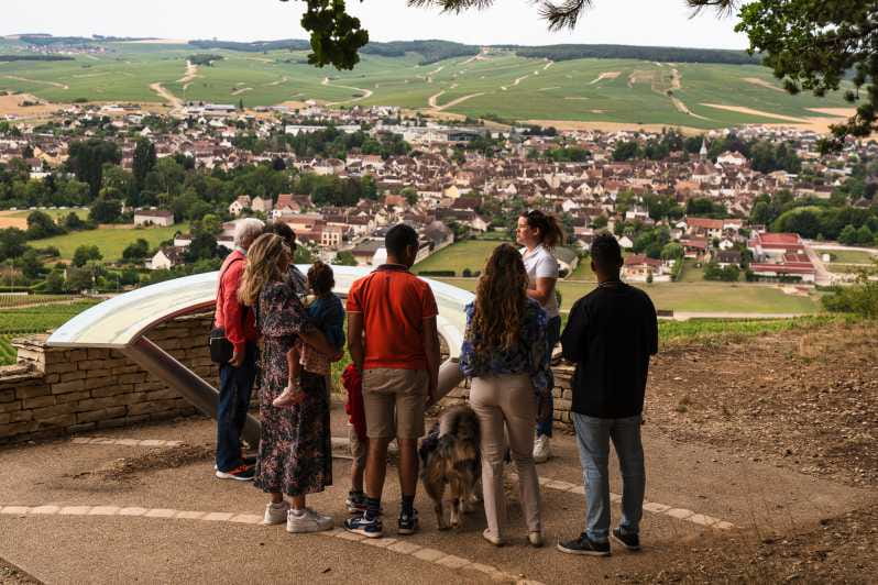 Chablis: Visit of the Grand Cru vineyard - FAQ