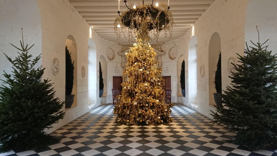 Chambord and Chenonceau Day Trip With Licensed Guide - Guided Tour of Châteaux