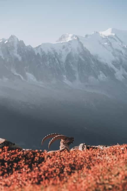 Chamonix: Mountain Photography Workshop at Lac Blanc - The Scenic Walk to Lac Blanc
