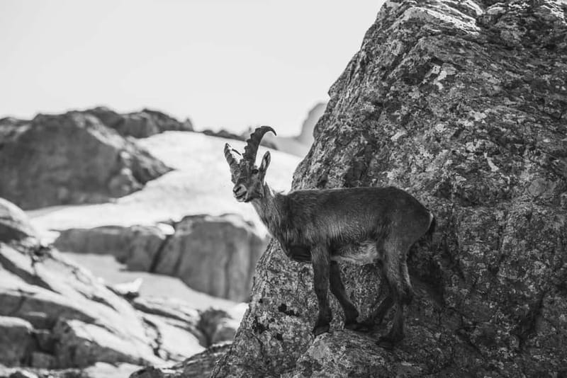 Chamonix: Mountain Photography Workshop at Lac Blanc - Final Thoughts