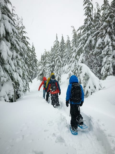 Chamonix: Snowshoeing under the stars - Key Points / Takeaways
