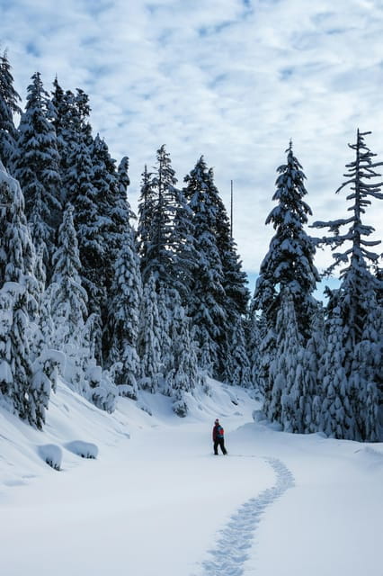 Chamonix: Snowshoeing under the stars - Logistics: How to Make It Work