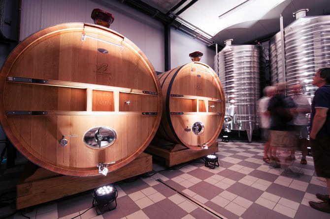 Champagne Albert Beerens Tour & Tasting - An In-Depth Look at the Champagne Albert Beerens Tour & Tasting