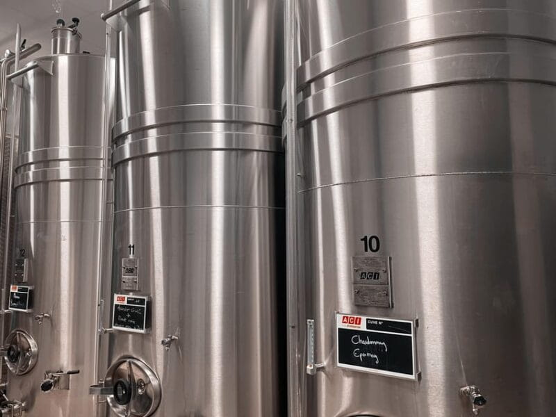 Champagne Cellar Experience: Explore our historic cellars - Price and Value: What You’re Getting