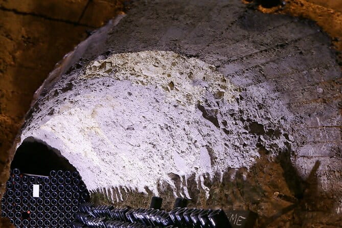 Champagne Guy De Chassey : Premium Tour and Tasting - Tour Logistics and Practical Details