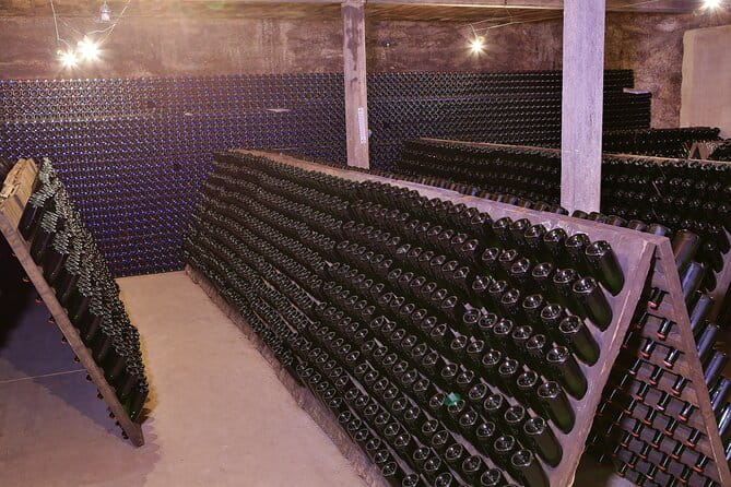 Champagne Guy De Chassey: Traditional Tour & Tasting - Key points / Takeaways