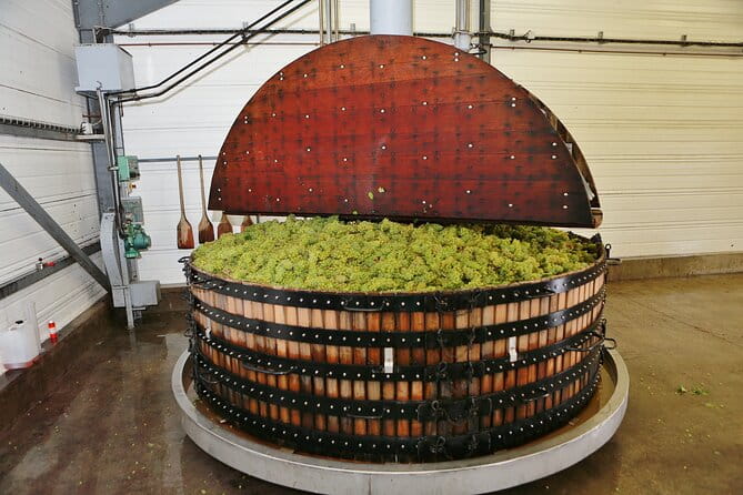 Champagne Guy De Chassey: Traditional Tour & Tasting - Inside the Cellars: A Closer Look at the Process