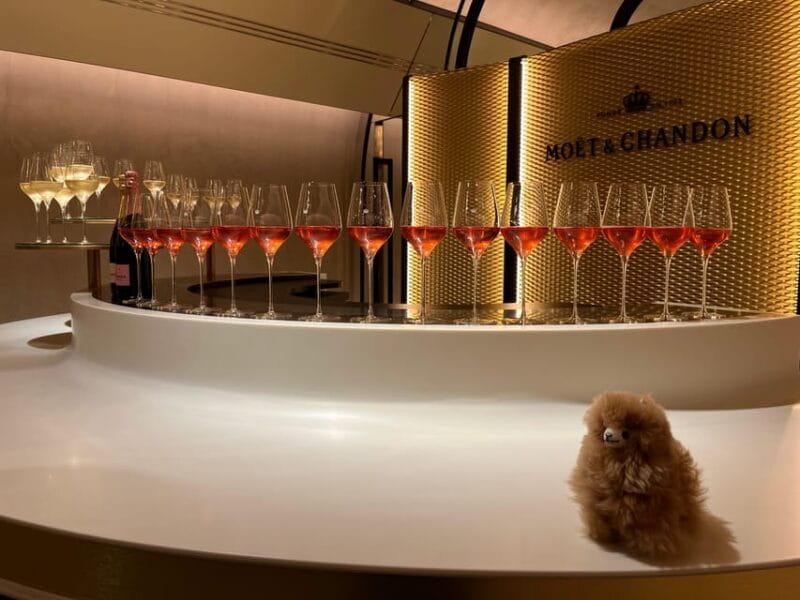 Champagne Private Day Trip: Epernay & Reims 9 glasses - Touring a Prestige Champagne House: Moët & Chandon or Similar