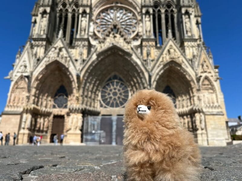 Champagne Private Day Trip: Epernay & Reims 9 glasses - Exploring Reims: The Cathedral and Cultural Heritage