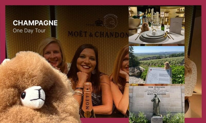 Champagne Private Day Trip: Epernay & Reims 9 glasses - Return to Paris: A Tasty, Relaxed Journey Back