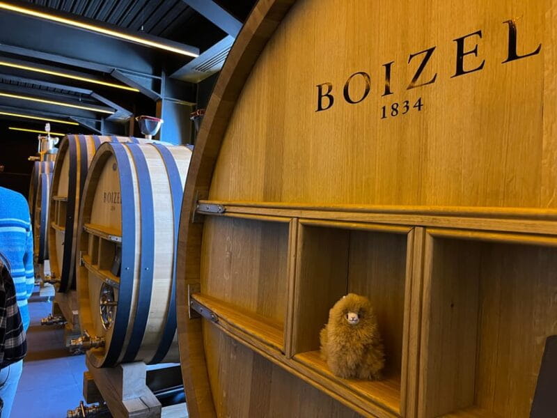 Champagne Private Day Trip: Epernay & Reims 9 glasses - Who Will Love This Tour?