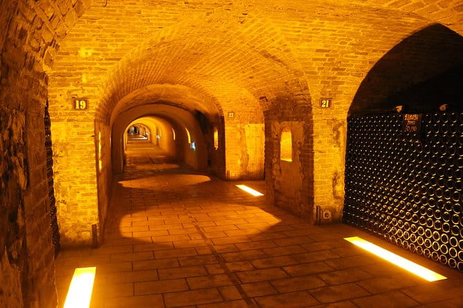 Champagne Private Wine Day Trip with Lunch and Wine Tastings - The Itinerary in Detail