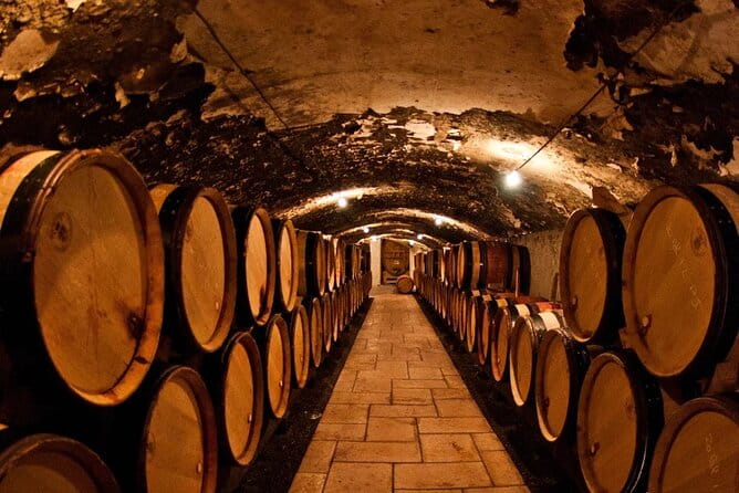 Champagne Region excursion from Paris with Private Driver - A Practical Look at the Champagne Region Excursion from Paris with Private Driver