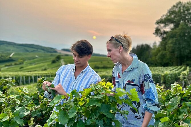 Champagne Small-Group Wine Day Trip With Wine Tastings and Lunch - Just The Basics