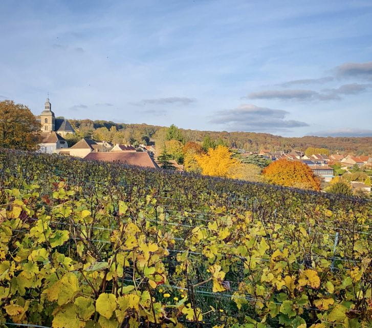 Champagne Tasting in Reims ! - Key Points