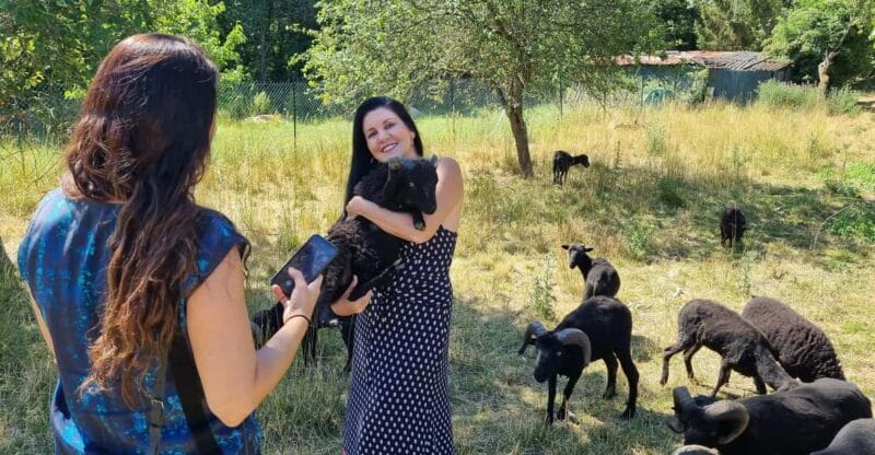 Champagne Vineyard Experience: Explore the terroir - Key Points / Takeaways