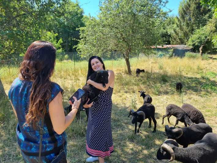 Champagne Vineyard Experience: Explore the terroir - Entering the Vineyard: A Personal and Historic Welcome