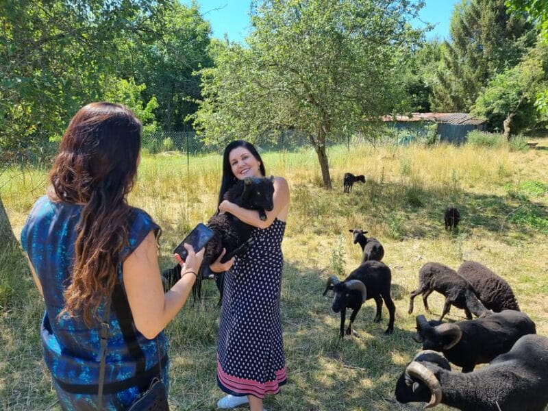 Champagne Vineyard Experience: Explore the terroir - Why This Tour Is Worthwhile