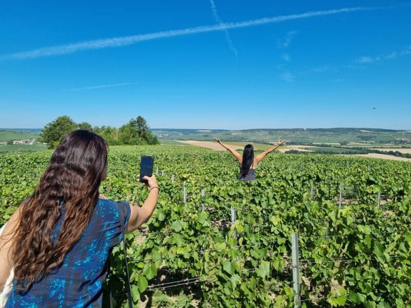 Champagne Vineyard Experience: Explore the terroir - Who Should Consider This Tour?