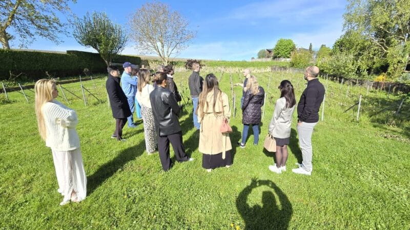 Champagne Vineyard Experience: Explore the terroir - FAQ