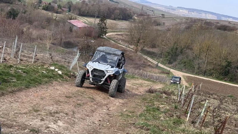 Champagne vineyards: 2-hour guided tour of the vineyards in a Buggy - The Itinerary: What to Expect