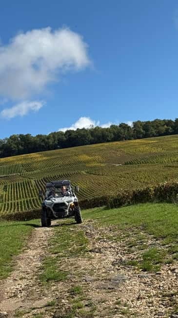 Champagne vineyards: 2-hour guided tour of the vineyards in a Buggy - Who Will Love This Experience?