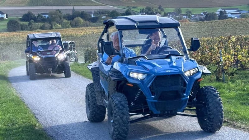 Champagne vineyards: 2-hour guided tour of the vineyards in a Buggy - The Sum Up