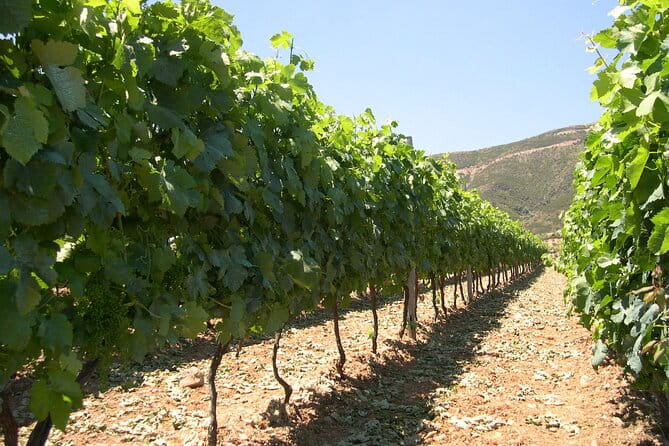 Chania 4x4 Sunset Safari Tour - Final Thoughts: Is It Worth It?