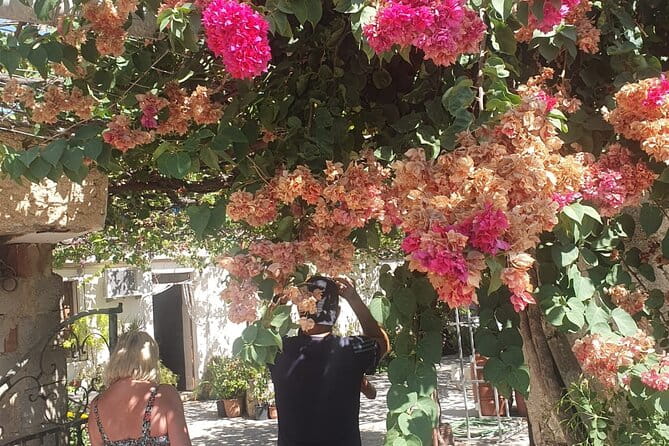 Chania Area: Cooking Class at a Farm in Stylos Village (organic) - The Sum Up: Why This Tour Is a Great Choice