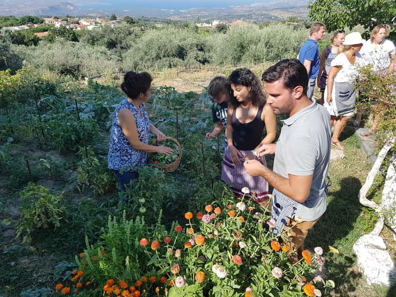Chania: Cretan Wine, Olive Oil & Cooking Workshop - Key Points / Takeaways