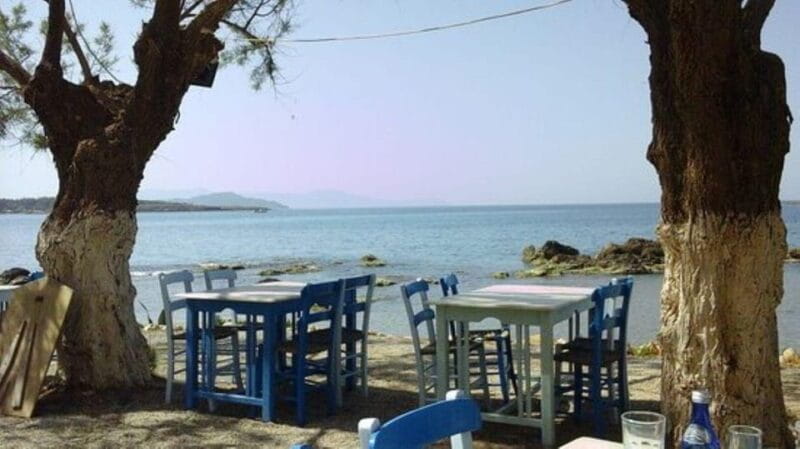 Chania: Discover Cretan grape varieties by the sea - The Sum Up