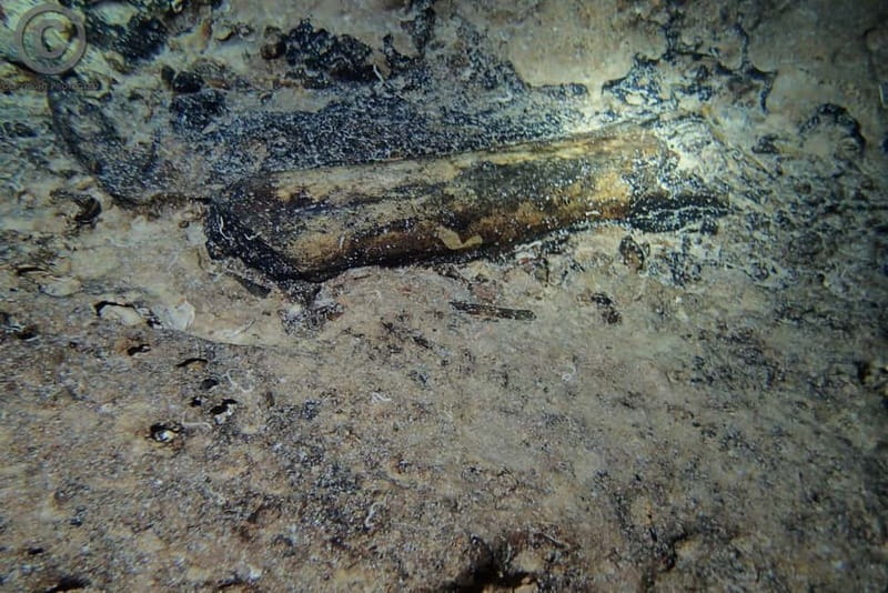 Chania: Diving Trips for Certified Divers - Price and Value