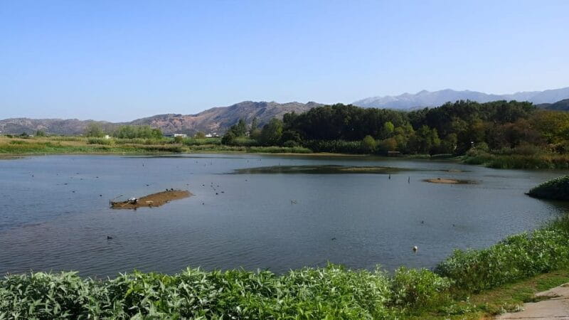 Chania Ebike Eco-Long Tour + Traditional Snack - The Lunch Break at Drakiana Park
